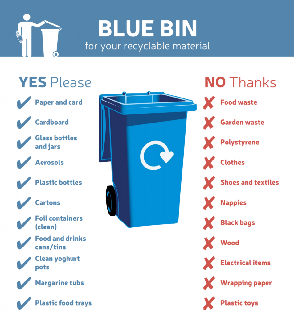 What can you put in your bin?